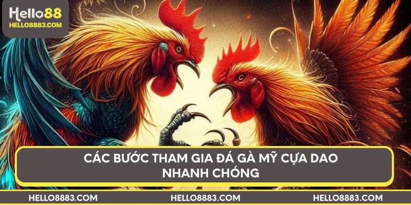 Các bước tham gia đá gà mỹ cựa dao nhanh chóng