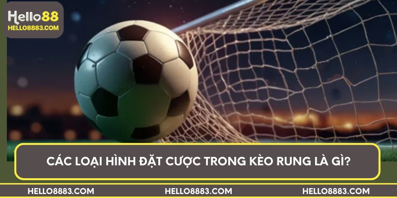 Các loại hình đặt cược trong kèo rung là gì?