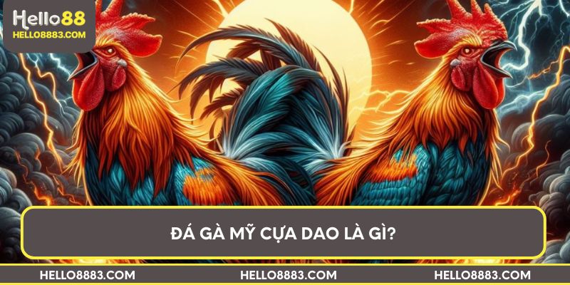 Đá gà mỹ cựa dao là gì?