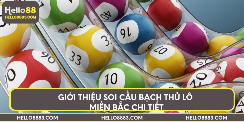 Giới thiệu soi cầu bạch thủ lô miền Bắc chi tiết