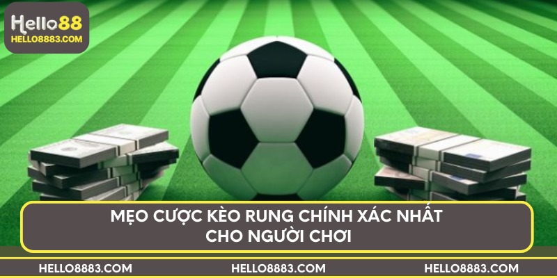Mẹo cược kèo rung chính xác nhất cho người chơi