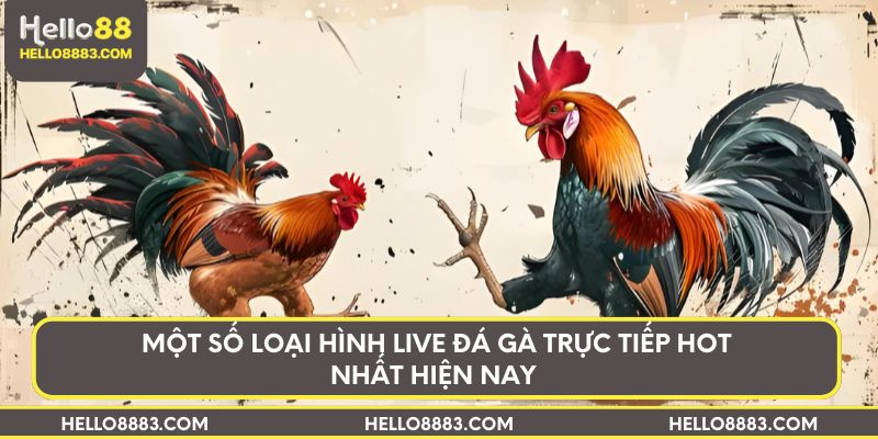 Một số loại hình live đá gà trực tiếp hot nhất hiện nay 