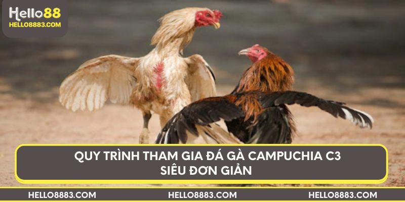 Quy trình tham gia đá gà Campuchia C3 siêu đơn giản 