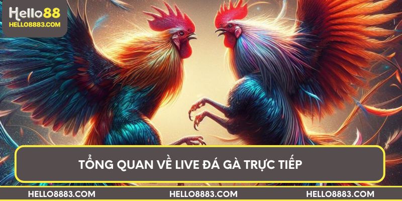 Tổng quan về live đá gà trực tiếp 